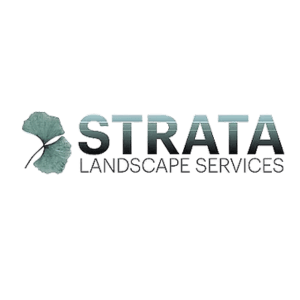 Strata