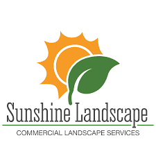 Sunshine Landscape